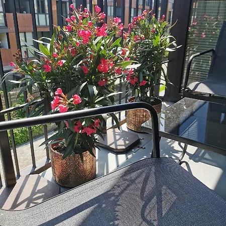 Lägenhet Cozy With Free Parking And Balcony *