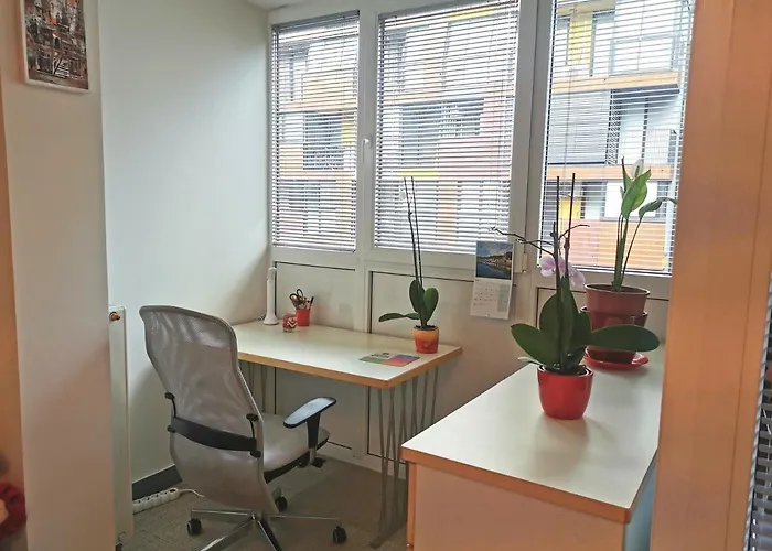 Cozy With Free Parking And Balcony Apartamento *